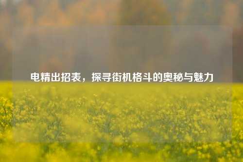 电精出招表，探寻街机格斗的奥秘与魅力