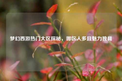 梦幻西游热门大区探秘，哪区人多且魅力独具
