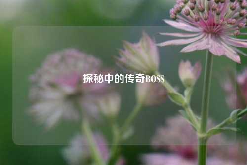 探秘中的传奇BOSS