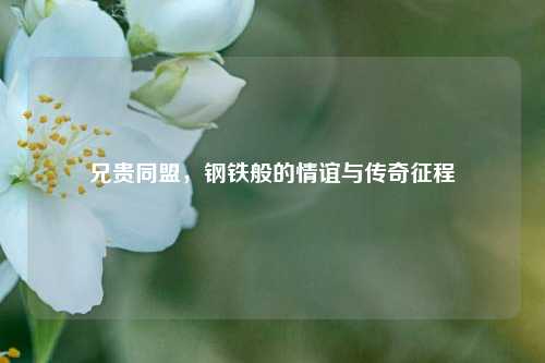 兄贵同盟，钢铁般的情谊与传奇征程
