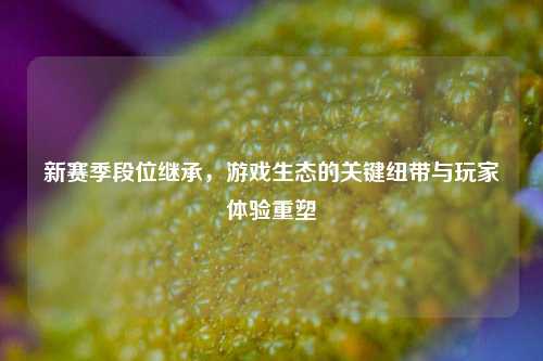 新赛季段位继承，游戏生态的关键纽带与玩家体验重塑