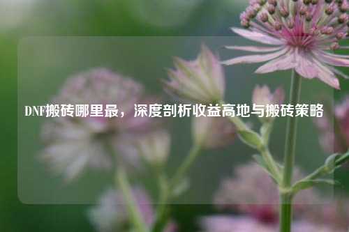 DNF搬砖哪里最，深度剖析收益高地与搬砖策略