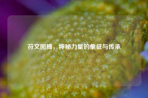符文图腾，神秘力量的象征与传承