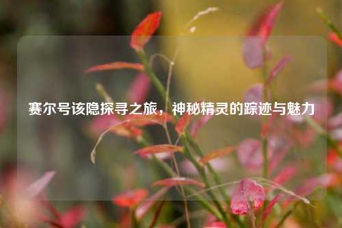 赛尔号该隐探寻之旅，神秘精灵的踪迹与魅力