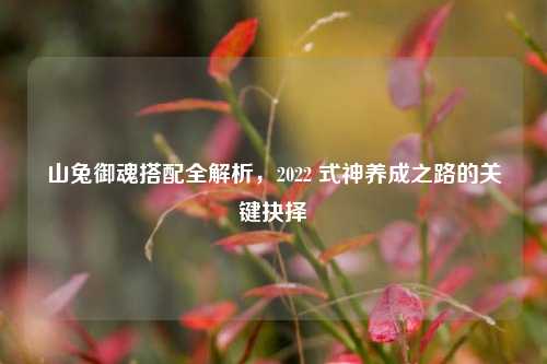 山兔御魂搭配全解析，2022 式神养成之路的关键抉择