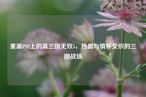 重温PS2上的真三国无双5，热血与情怀交织的三国战场