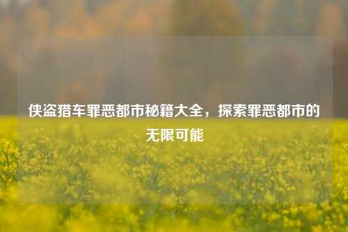 侠盗猎车罪恶都市秘籍大全，探索罪恶都市的无限可能