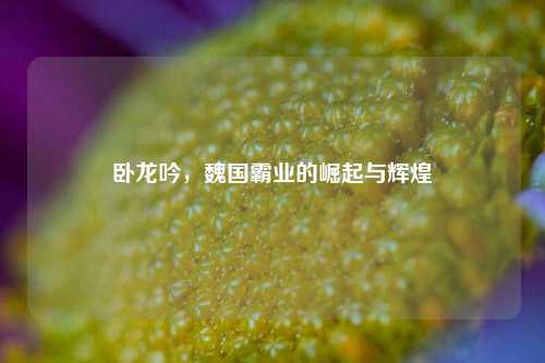卧龙吟，魏国霸业的崛起与辉煌