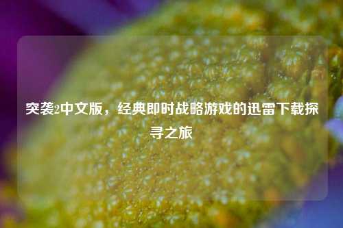 突袭2中文版，经典即时战略游戏的迅雷下载探寻之旅