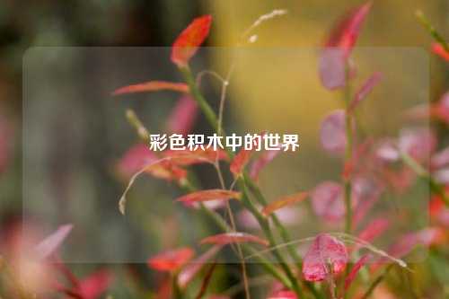 彩色积木中的世界