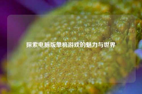 探索电脑版单机游戏的魅力与世界