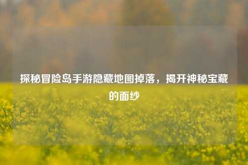 探秘冒险岛手游隐藏地图掉落，揭开神秘宝藏的面纱