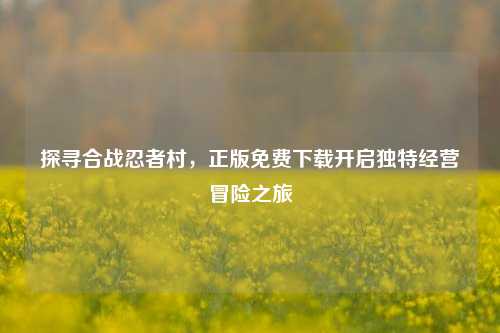 探寻合战忍者村，正版免费下载开启独特经营冒险之旅