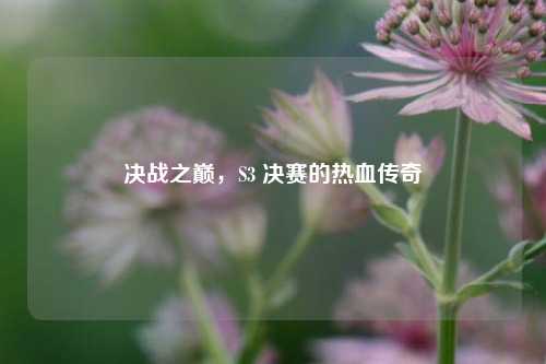 决战之巅，S3 决赛的热血传奇