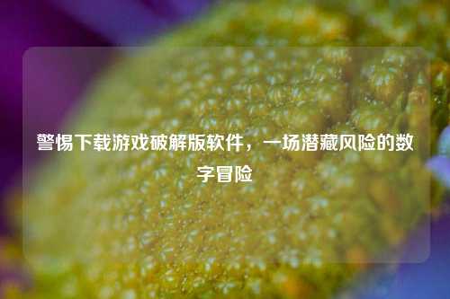 警惕下载游戏破解版软件，一场潜藏风险的数字冒险