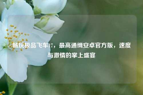 畅玩极品飞车17，最高通缉安卓官方版，速度与激情的掌上盛宴