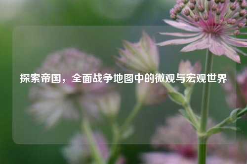 探索帝国，全面战争地图中的微观与宏观世界