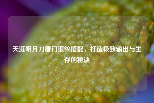 天涯明月刀唐门琅纹搭配，打造极致输出与生存的秘诀