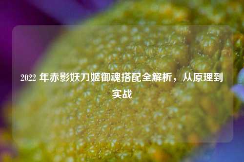 2022 年赤影妖刀姬御魂搭配全解析，从原理到实战