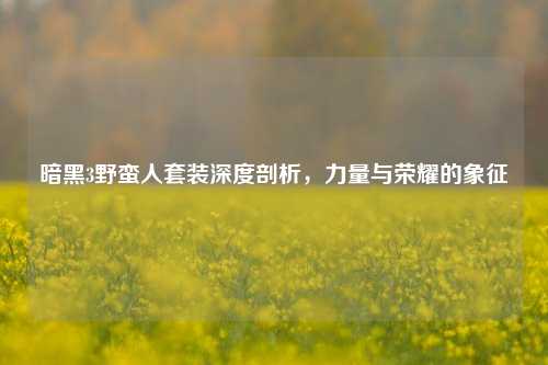 暗黑3野蛮人套装深度剖析，力量与荣耀的象征