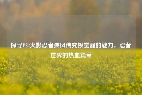 探寻PS2火影忍者疾风传究极觉醒的魅力，忍者世界的热血篇章