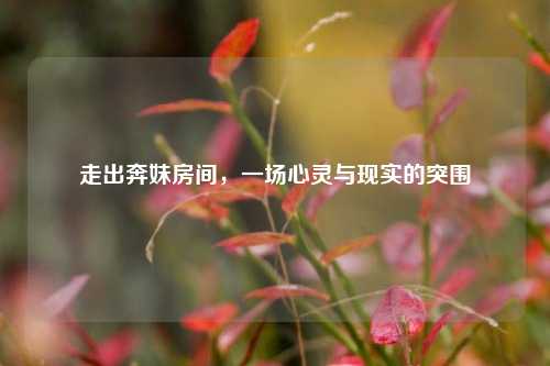 走出奔妹房间，一场心灵与现实的突围
