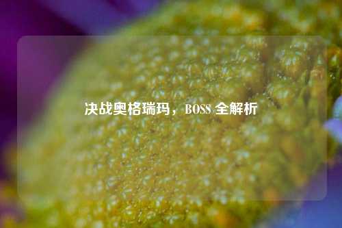决战奥格瑞玛，BOSS 全解析
