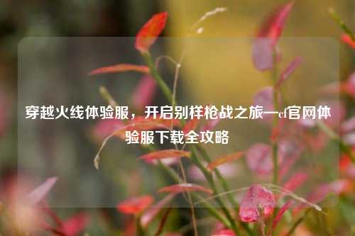 穿越火线体验服，开启别样枪战之旅—cf官网体验服下载全攻略