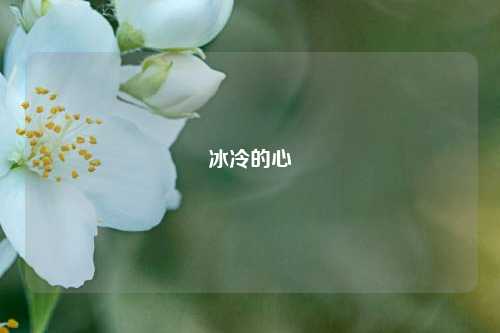 冰冷的心