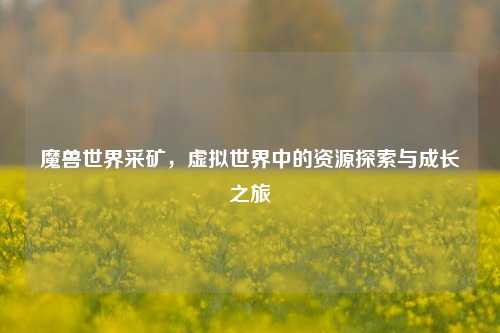 魔兽世界采矿，虚拟世界中的资源探索与成长之旅