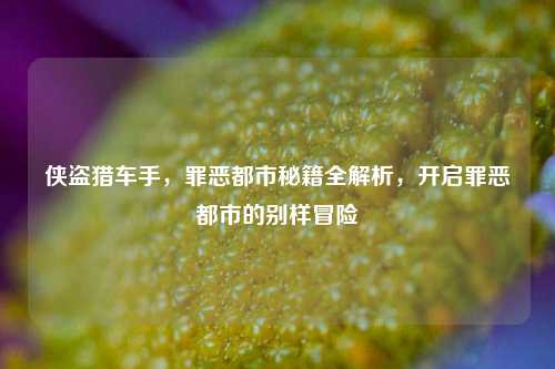 侠盗猎车手，罪恶都市秘籍全解析，开启罪恶都市的别样冒险