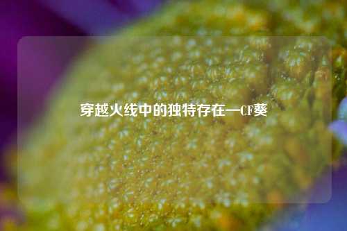 穿越火线中的独特存在—CF葵