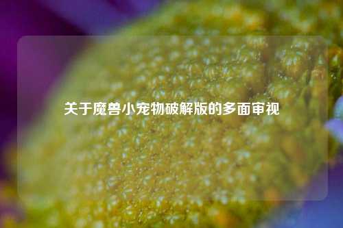 关于魔兽小宠物破解版的多面审视