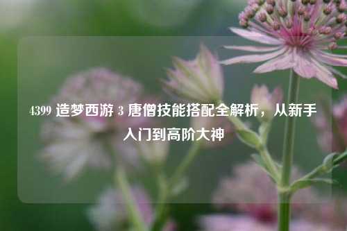4399 造梦西游 3 唐僧技能搭配全解析，从新手入门到高阶大神