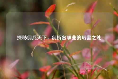 探秘佣兵天下，剖析各职业的厉害之处