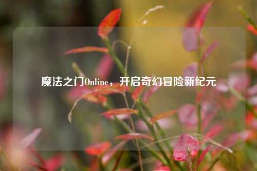 魔法之门Online，开启奇幻冒险新纪元