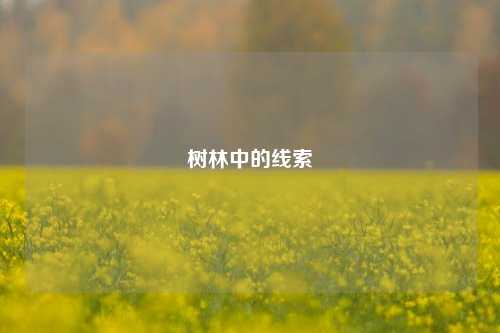 树林中的线索