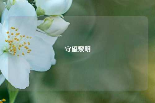 守望黎明