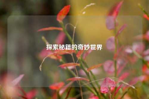 探索秘籍的奇妙世界