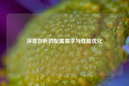 深度剖析的配置需求与性能优化