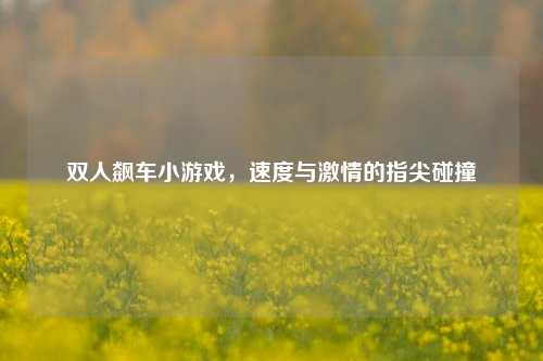 双人飙车小游戏，速度与激情的指尖碰撞