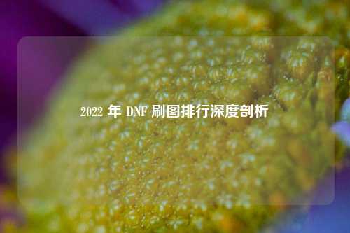 2022 年 DNF 刷图排行深度剖析