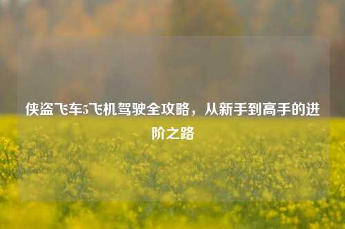 侠盗飞车5飞机驾驶全攻略，从新手到高手的进阶之路