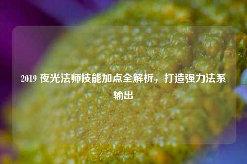 2019 夜光法师技能加点全解析，打造强力法系输出