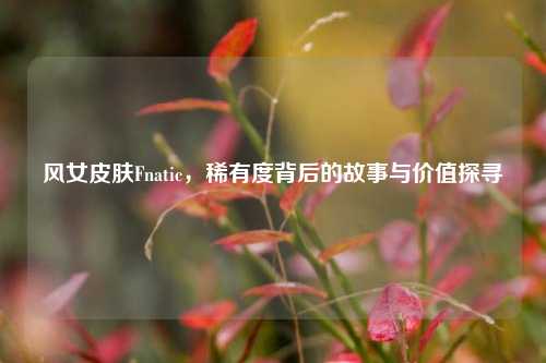 风女皮肤Fnatic，稀有度背后的故事与价值探寻