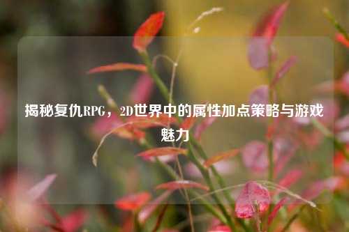 揭秘复仇RPG，2D世界中的属性加点策略与游戏魅力