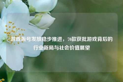 游戏版号发放稳步推进，70款获批游戏背后的行业新局与社会价值展望