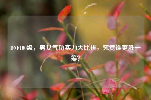 DNF100级，男女气功实力大比拼，究竟谁更胜一筹？