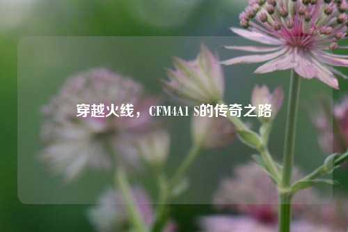 穿越火线，CFM4A1 S的传奇之路