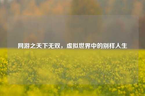 网游之天下无双，虚拟世界中的别样人生